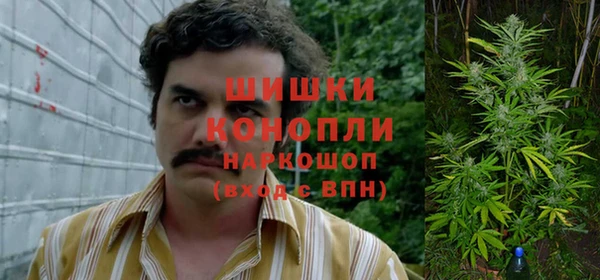 а пвп мука Алзамай