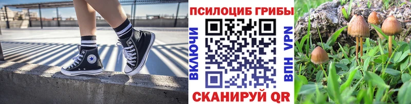 Псилоцибиновые грибы мицелий  OMG онион  Находка 